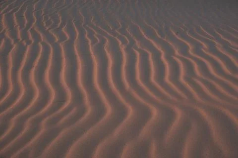 A close-up of sand dunes with a wavy pattern created by the wind. The warm go Stock Photos