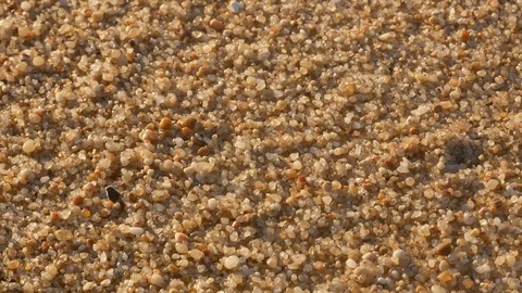 Close up of sand grains on a sandy beach, pan right 스톡 동영상 103286828