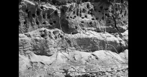 Close-up of sand martin bird colony with nesting holes in a sandy cliff Stock Footage 333205064