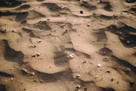 Close up of sand pattern with seashells of a beach in the summer Stock Photos