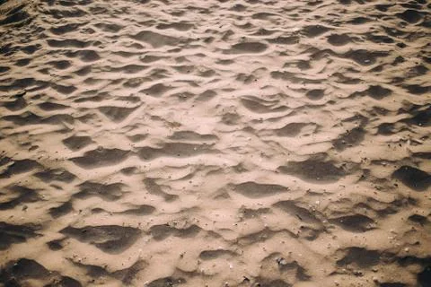 Close up of sand pattern with seashells of a beach in the summer Stock Photos