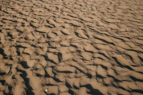 Close up of sand pattern with seashells of a beach in the summer Stock Photos