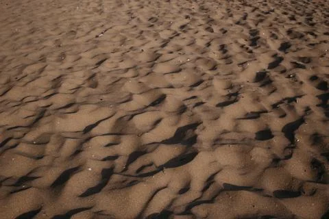 Close up of sand pattern with seashells of a beach in the summer Stock Photos
