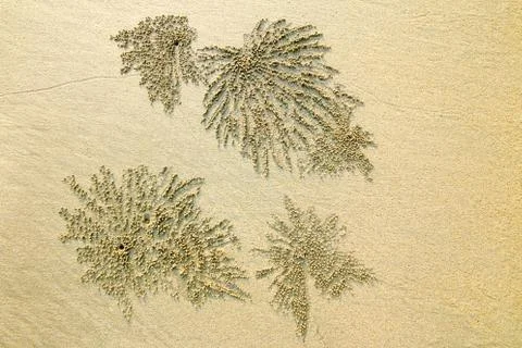 Close up sand texture background Stock Photos