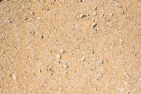 Close up sand texture with pieces of shells for background Foto stock