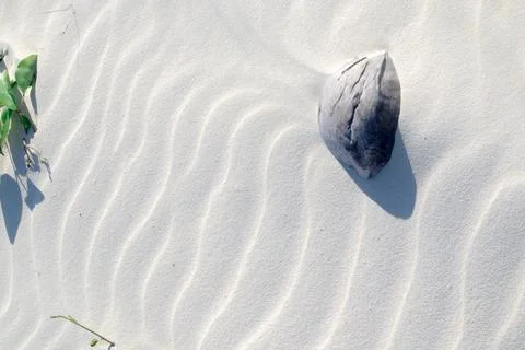 Close-Up of Sand Texture with Rock and Plant Stock Photos
