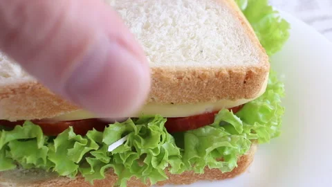 Close up sandwich with fried cockroach, fresh vegetables and salami. Stock Footage 134332407