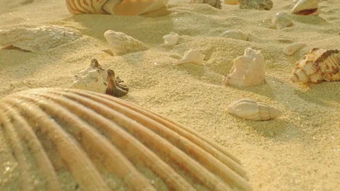 Close up on a sandy beach Stock-Footage 111858927