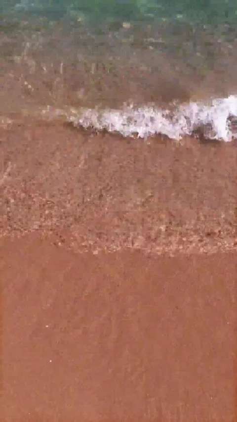 Close-up of Sandy Beach Shoreline with Gentle Waves Video stock 343910560