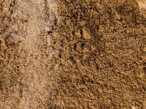 Close up of sandy beach texture with brown and golden hues Foto stock