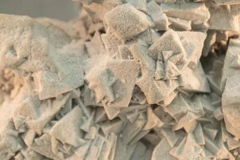 Close-up of sandy calcid. background, texture Soft focus selective focus Stock Photos