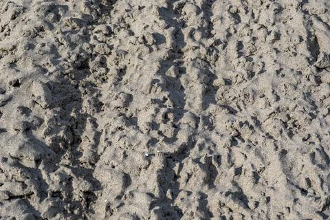 A close up of a sandy surface with a few small rocks Stock-Fotos