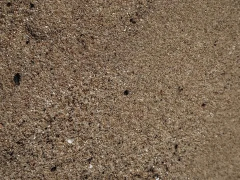 Close-Up of Sandy Texture Closeup of sandy wall texture featuring natural g.. Stock Photos