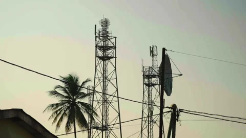 Close-up of satellite dish and palm tree 库存影片 338167693