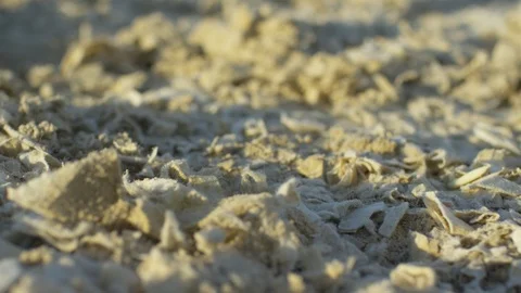 Close up of sawdust Stock Footage 86768923