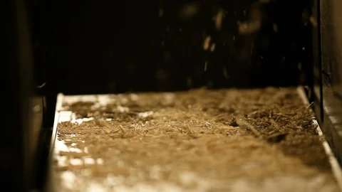 Close up on a sawdust Stockbeeldmateriaal 88300612