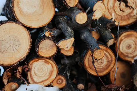 Close-up of sawed logs. Logs of deciduous trees stacked on top of each other and Stock Photos