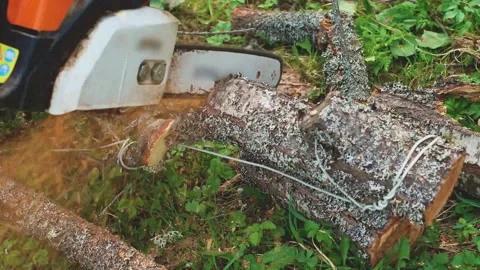 Close up of sawing a log with a chainsaw process. Video. Male carpenter sawing a Stock Footage 163033796