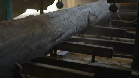 Close-Up,sawmill Cuts a Circular Saw Edge With Logs Attached to the Frame Stock Footage 76642270