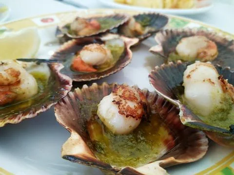 Close-up of scallops cooked on a plate Stock Photos