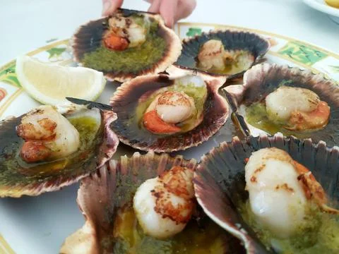 Close-up of scallops cooked on a plate Stock Photos