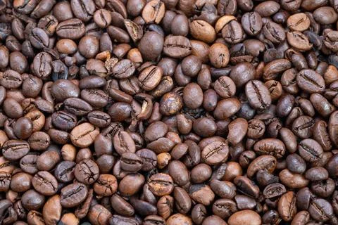 Close-up scattered coffee beans matte finish, uniform medium roast, repeating Stock Photos