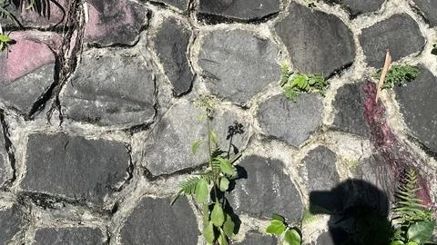 A close scene of a cobblestone wall with large irregular stones, some small g Stock Photos