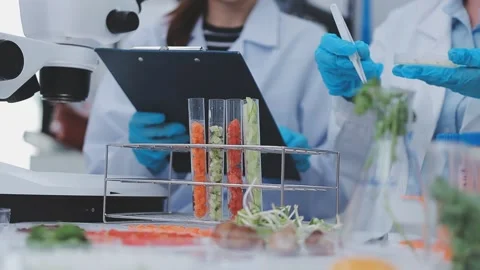 Close up scene of researcher examining alternative protein powder in steril.. Stock Footage 335925059