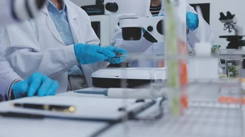 Close up scene of researcher examining alternative protein powder in steril.. Stock Footage 335925093