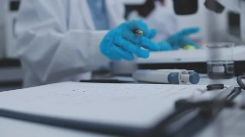 Close up scene of researcher examining alternative protein powder in steril.. Stock Footage 335925235
