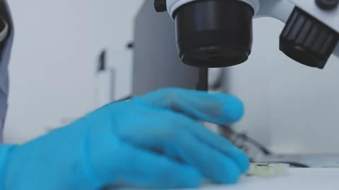 Close up scene of researcher examining alternative protein powder in steril.. Stock Footage 335925279