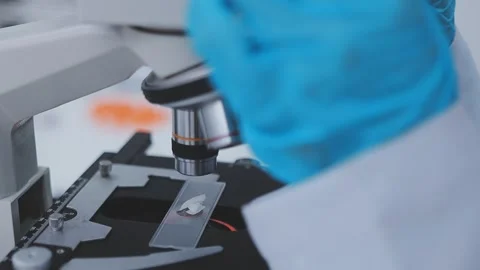 Close up scene of researcher examining alternative protein powder in steril.. Stock Footage 335925285
