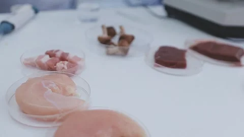 Close up scene of researcher examining alternative protein powder in steril.. Stock Footage 335925331