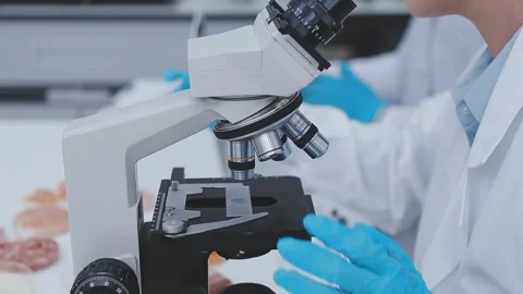 Close up scene of researcher examining alternative protein powder in steril.. Stock Footage 335925476