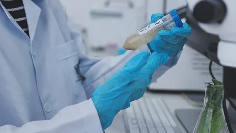 Close up scene of researcher examining alternative protein powder in steril.. Stock Footage 335925565