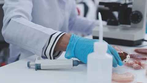 Close up scene of researcher examining alternative protein powder in steril.. Stock Footage 335925646