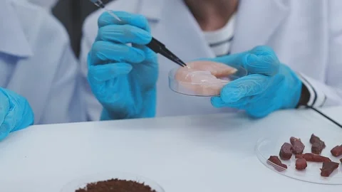 Close up scene of researcher examining alternative protein powder in steril.. Stock Footage 335925676
