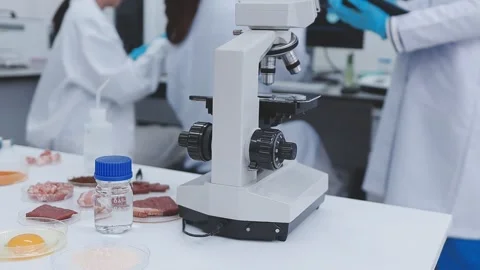 Close up scene of researcher examining alternative protein powder in steril.. Stock Footage 335925701