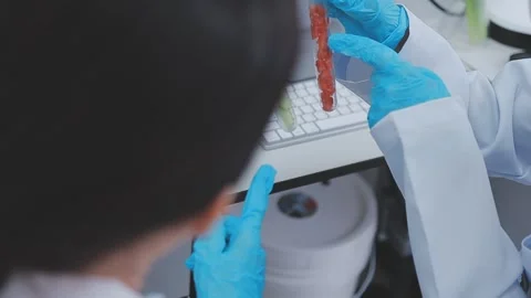 Close up scene of researcher examining alternative protein powder in steril.. Stock Footage 335925737