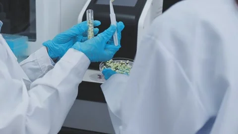 Close up scene of researcher examining alternative protein powder in steril.. Stock Footage 335925739