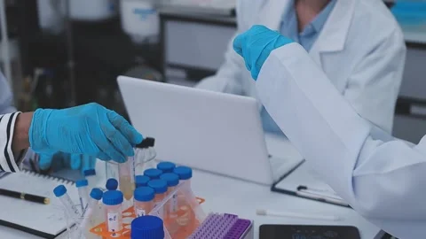 Close up scene of researcher examining alternative protein powder in steril.. Stock Footage 335925787