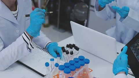 Close up scene of researcher examining alternative protein powder in steril.. Stock Footage 335925804