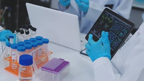 Close up scene of researcher examining alternative protein powder in steril.. Stock Footage 335925820