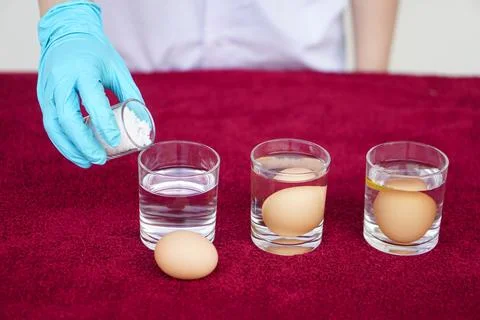 Close up science experiment about eggs in wate Stock Photos