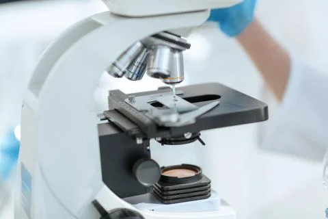 Close up. Scientist analyzing microscope slide at laboratory. Photos