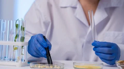 Close-up of scientist conducting precise lab work Stockfoto's