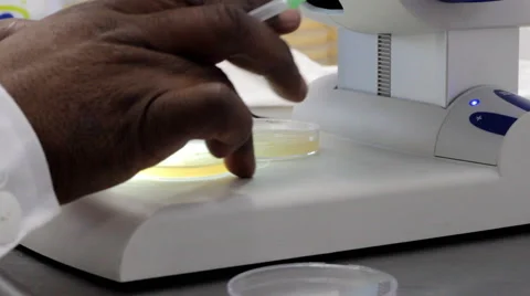 Close up of scientist depositing genetic samples in a plate Stock Footage 42557619