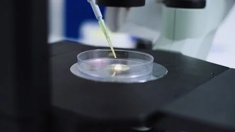 Close up scientist drop of yellow liquid on plate at microscope	 Stock Footage 134273766