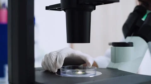 Close up scientist drop of yellow liquid on plate at microscope	 Stock Footage 134551264