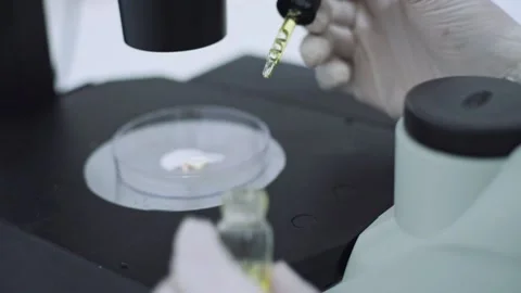 Close up scientist drop of yellow liquid on plate at microscope	 Stock Footage 134551321
